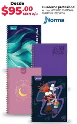 Cuaderno profesional