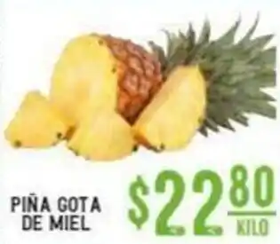 Piña Got a de Miel