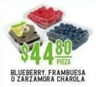 Blueberry, Frambuesa o Zarzamora Charola
