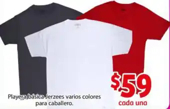 Playera Básica Jerzees Varios Colores para Caballero