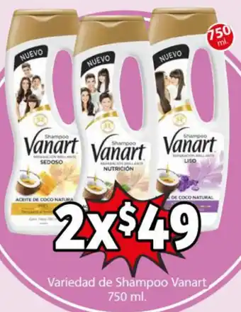 Variedad de Shampoo Vanart 750ml