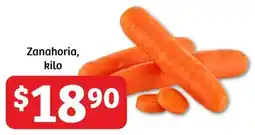 Zanahoria