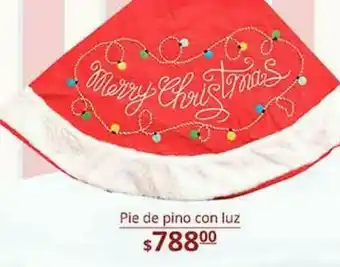 Pie de pino con luz
