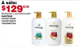 City Club PANTENE Shampoos o acondicionador oferta
