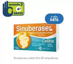 Farmacia San Pablo Sinuberase - colitis 5ml 20 ampolletas oferta
