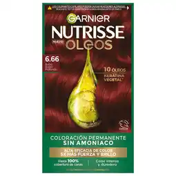 Farmacias YZA Garnier Nutrise Oleo Rub Roj Prof 6 1Pz oferta