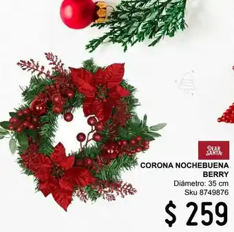 Corona nochebuena berry