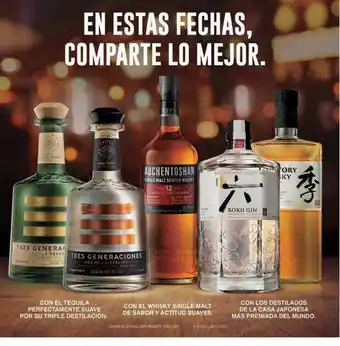 Bebidas alcoholicas