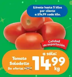 S-Mart Tomate Saladette oferta
