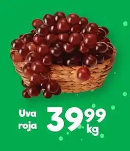 Uva roja