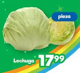 Lechuga