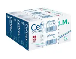 Farmacias Bazar CEFTREX 1GR IM TRIPACK 3 AMPOLLETAS oferta