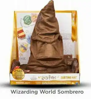 Wizarding world sombrero