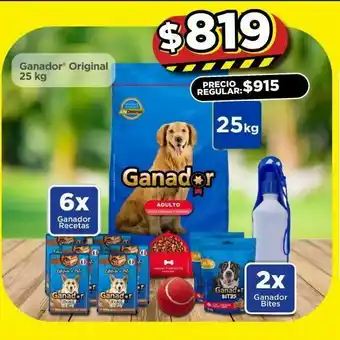 Bodega Aurrerá Ganador original 25kg oferta
