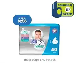 Bbtips - etapa 6