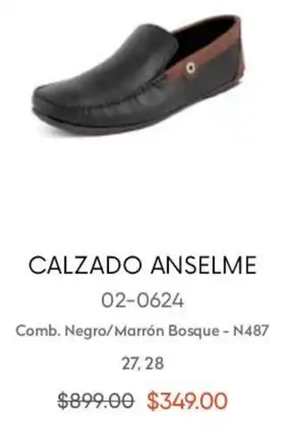 Calzado Anselme 02-0624