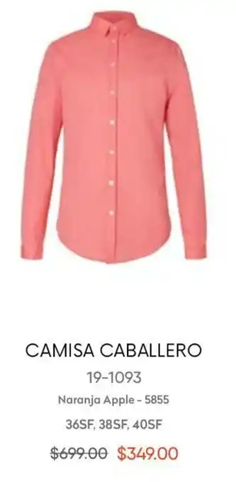 Camisa Caballero 19-1093 36SF, 38EF, 40SF