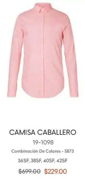 André Badi Camisa Caballero 19-1098 36SF, 38SF, 40SF, 42SF oferta