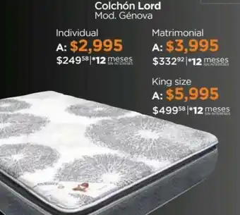 Colchón Lord Individual