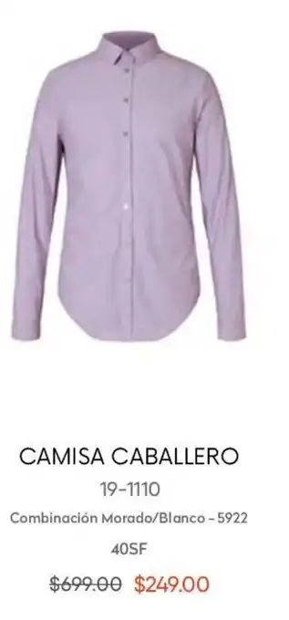 Camisa Caballero 19-1110 40SF