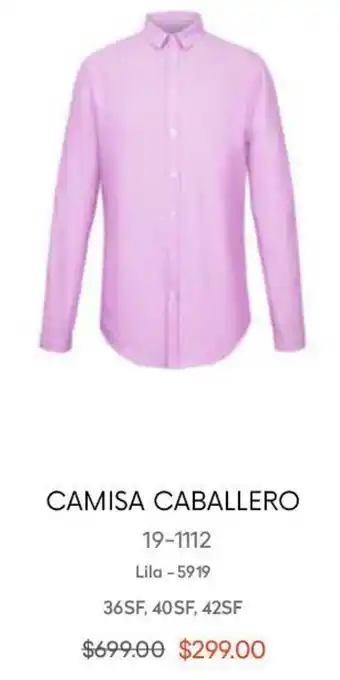 André Badi Camisa Caballero 19-1112 36SF, 40SF, 42SF oferta