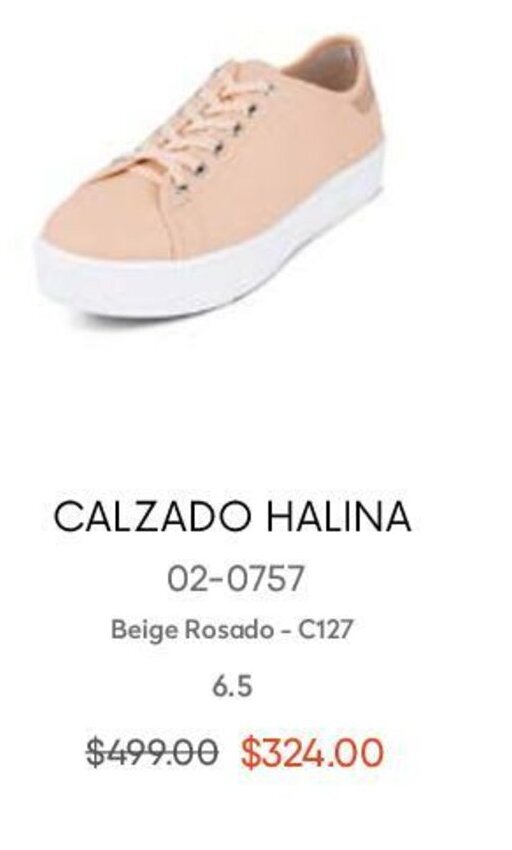 Calzado Halina oferta en André Badi