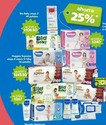 Farmacia San Pablo Bio baby pañales etapa 2 c/40 oferta
