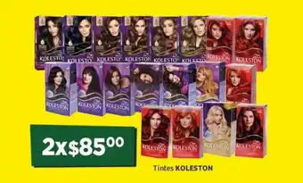 Tinte KOLESTON