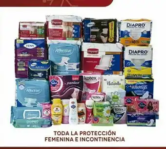 Proteccion femenina e incontinencia