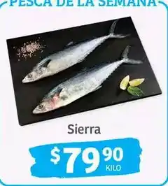 Soriana Híper Sierra oferta