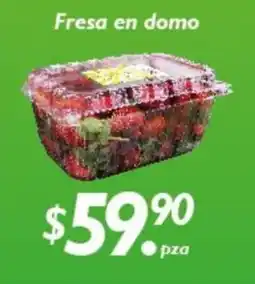 Fresa en domo
