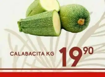 Alsuper Calabacita x kilo oferta