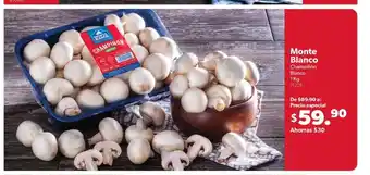 Monte Blanco Champiñon Blanco 1kg