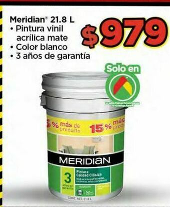 Bodega Aurrerá Pintura oferta