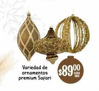 Variedad de Ornamentos Premium Safari