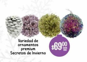 Variedad de Ornamentos Premium Secretos de Invierno