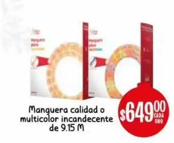 Manguera Calidad o Multicolor Incandecente de 9.15M