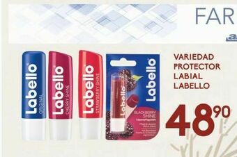 Protector labial labello