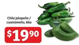 Soriana Híper Jalapeño - chile jalapeño / cuaresmeño, kilo oferta