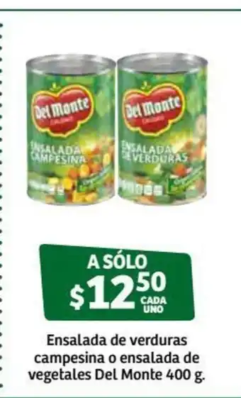 Soriana Súper Ensalada de Verduras Campesina o Ensalada de Vegetales Del Monte 400g oferta