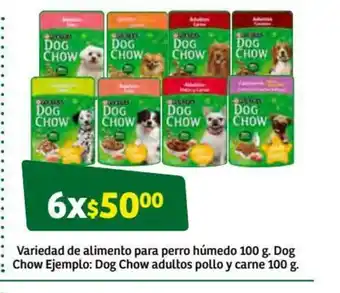 Soriana Súper Variedad de Alimento para perro Humedo 100g Dog Chow oferta