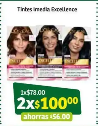 Tintes Imedia Excellence