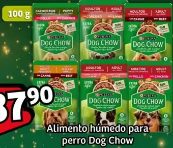 Soriana Mercado Dog chow alimento húmedo para perro oferta