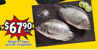 Soriana Mercado Mojarra Tilapia Grande Congelada kilo oferta