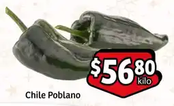 Chile Poblano