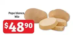 Papa blanca