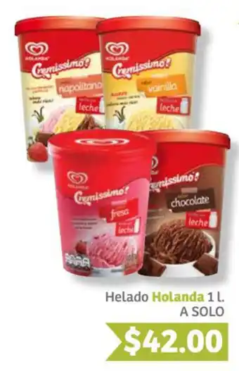 Helado Holanda 1L