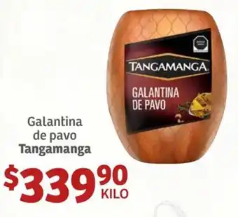 Soriana Híper Galantina de pavo Tangamanga oferta