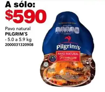 City Club Pavo natural PILGRIM'S - 5.0 a 5.9 kg oferta
