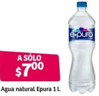 Agua Natural Epura 1L